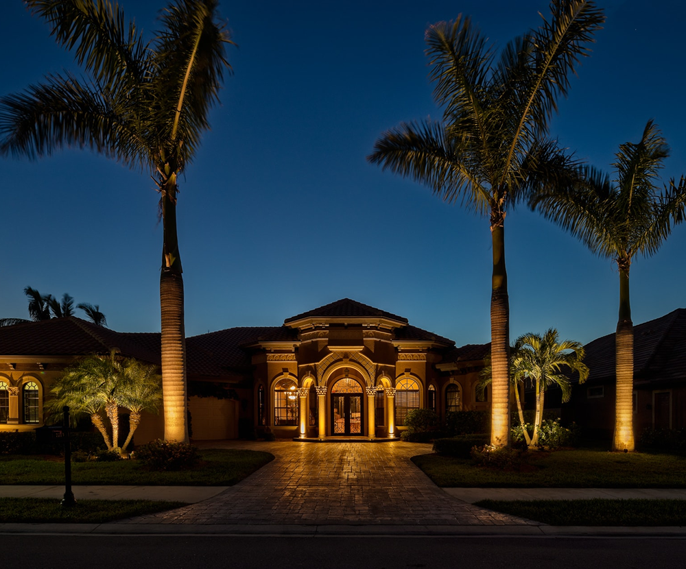 Palm tree and fountain lighting