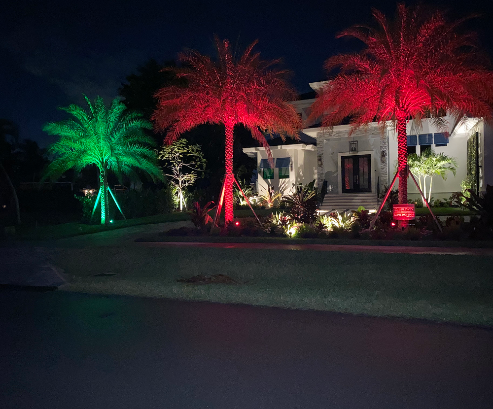 Driveway and garden lighting