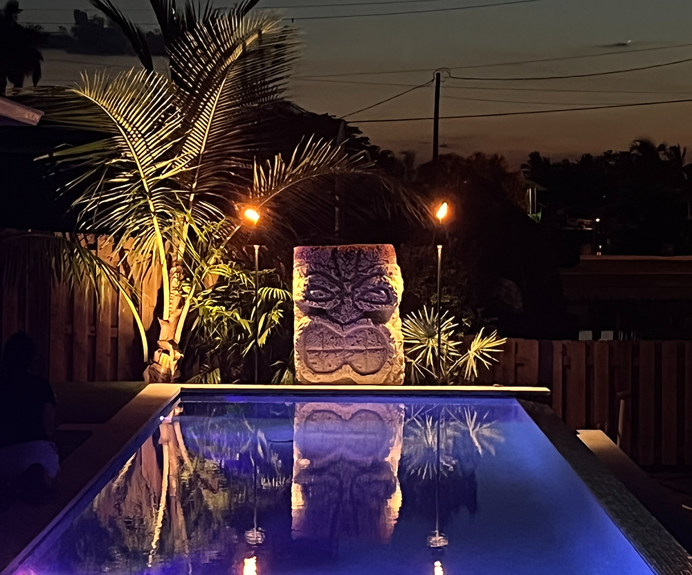 Luxury pool lighting with palms